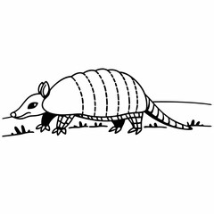 Vibrant Armadillo Vector
