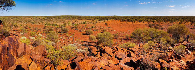 Panoramic view of the wilderness with open forest in the vast expanse of the mid west of the Western Australian outback, Meekatharra area. 
