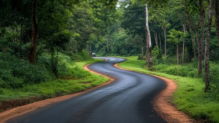 Fototapeta premium Serene Curved Road Through Lush Green Forest