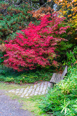 Kutota Gardens Red Bush
