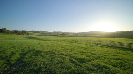 Obraz premium Green grassy field with wooden fences and sunlight. Countryside and nature landscape concept