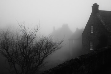 A House Partially Obscured by Dense Fog and Bare Branches