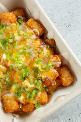 A top down view of a tray of tofu and tater tots.