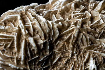 Close-up view of the petal like aggregates of gypsum crystals, forming a desert rose