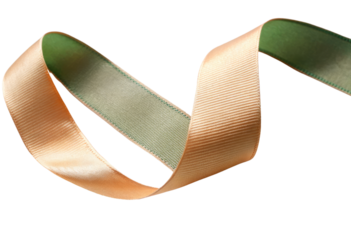 an orange and green satin ribbon isolated with transparent background