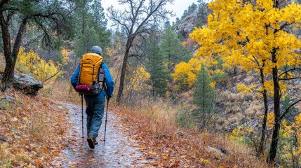Obraz premium Serene Autumn Hike Through Vibrant Forest Landscape