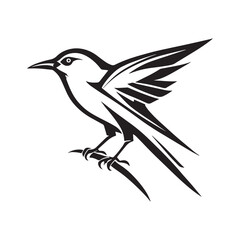 silhouette of a bird