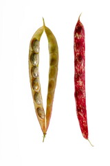 Haricots de provence