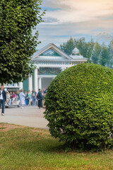 Decorative bush at the Trellis gazebo in the Peterhof Summer Park