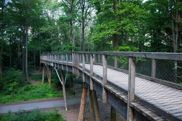 Side of a wood bridge over a path on a spring day at Saarschleife in Germany.
