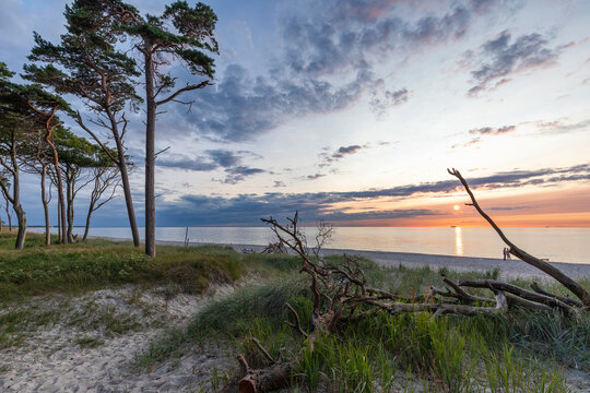 Am Darsser Weststrand.