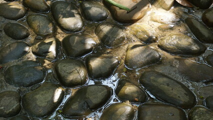 Natural Stone Pathway Lined with Shady Trees in City Park
