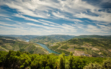 Naklejka premium Paisagem do Rio Douro, Portugal