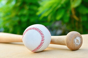 baseball and Baseball bat with sunlight