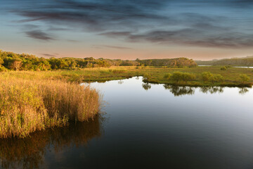 sunset at nature reserve Tallow Creek, Byron Bay, New South Wales, Australia