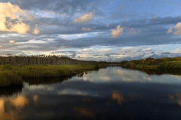 sunset at nature reserve Tallow Creek, Byron Bay, New South Wales, Australia