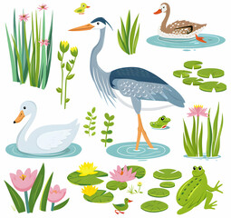 Illustration of a heron, swan, ducks, frogs, and lily pads in a pond.