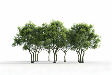 Obraz premium A cluster of seven lush green trees with white background.