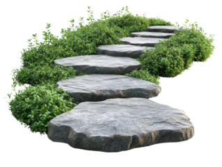 Stone pathway surrounded by lush green bushes, white isolate background