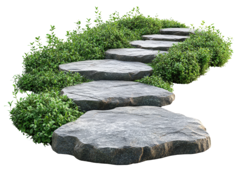 Stone pathway surrounded by lush green bushes, white isolate background