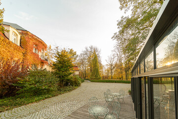 jesień, liście, drzewa, jesienią, drzew, październik, liści, krajobraz, zółty, złota, park, ogród © Maciej