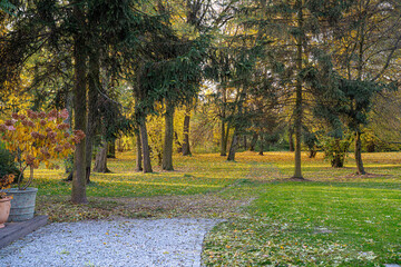 oranżeria, ogród zimowy, szklarnia, jesień, liście © Maciej