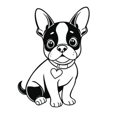 a black and white line drawing of a small dog, specifically a Boston Terrier