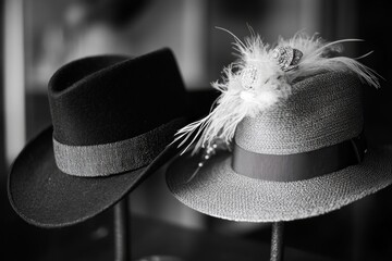 Elegant black and white hats with feather details on display