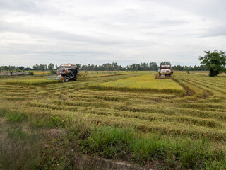 The double rice harvester machines.
