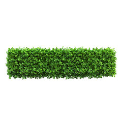 Obraz premium Trimmed hedge isolated on a transparent background.