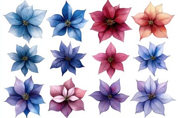 A collection of beautifully illustrated flowers in various colors and styles.
