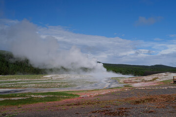 Colorful grasslands and thermal hot springs in the background billowing smoke from the boiling water