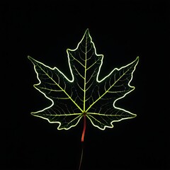 Neon maple leaf