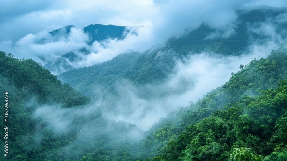 Poster green mountains with low-hanging clouds in a tranquil scene