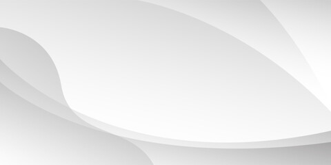 Abstract minimalist white and gray curve modern background. texture white pattern. vector illustration