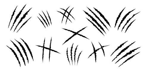 Set of black claws scratches animals. Four scratches shape. Wild animal claw marks. Funny design element