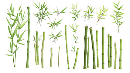Naklejka premium Green Bamboo Sticks with Leaves Isolated on White Background 