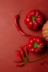 Delicious vibrant auutumn fall flat lay harvest thanksgiving friuts and vegetables background mockup