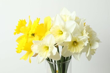 Fresh spring daffodils in a vase on a table