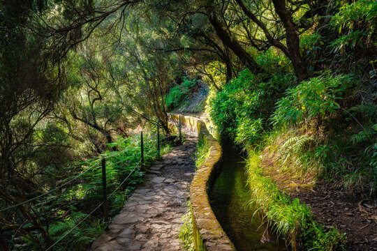 The beautiful trail PR6 Levada das 25 Fontes in Madeira during summer season. Portugal.