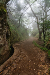 Obraz premium The beautiful trail PR11 Levada dos Balcoes in Madeira, with a foggy and dreamy weather. Portugal.