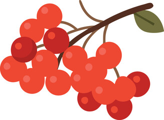Rowan Berry Illustration with Leaf Branch, Bright illustration of a rowan berry cluster with green leaves, showing vibrant red berries and foliage in a clean, graphic style.