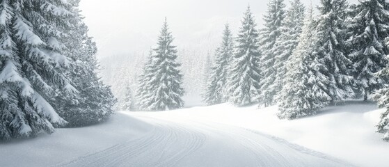 Serene Winter Wonderland: Snowy Landscape in the Forest