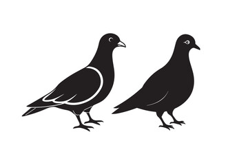 Mourning Dove Silhouette vector bundle, Mourning Dove Silhouette, Mourning Dove Silhouette Bundle 