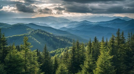 Stunning mountain vista with dense forests and a cloudy horizon