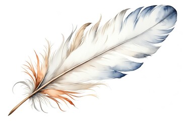 Obraz premium Elegant feather with gradient colors on white background