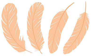 Feather vector stock illustration. Angel. Light, weightless, soft. Isolated on a white background.