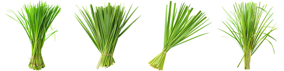 Obraz premium Fresh Green Lemongrass Bundle Isolated on White Background, lemongrass, herb, plant, cooking