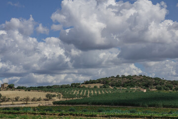 paesaggio rurale