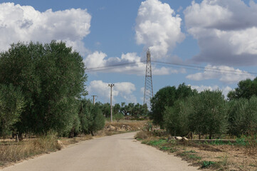 paesaggio rurale